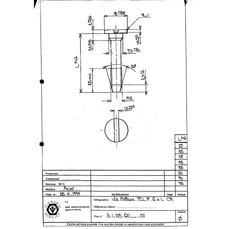 1 x Tornillo metales cabeza cilíndrica ancha ranura M6X48 dentado Acero bruto