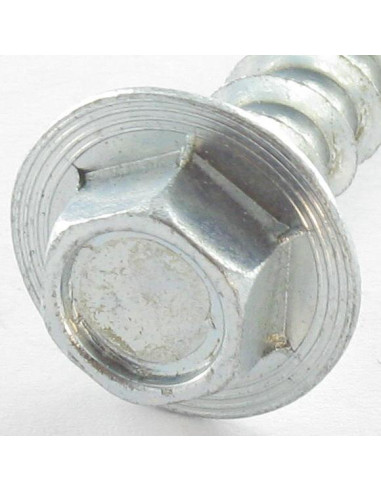 1 x Tornillos para madera TEKOR cabeza...