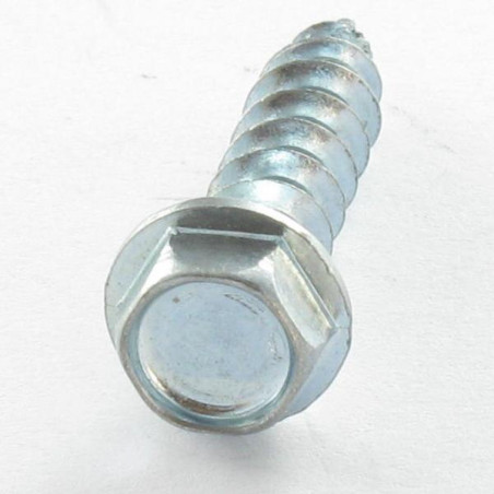 1 x Tornillo madera aglomerado cabeza hexagonal resalto reborde 4X16 en plano 5.5 Acero cincado blanco