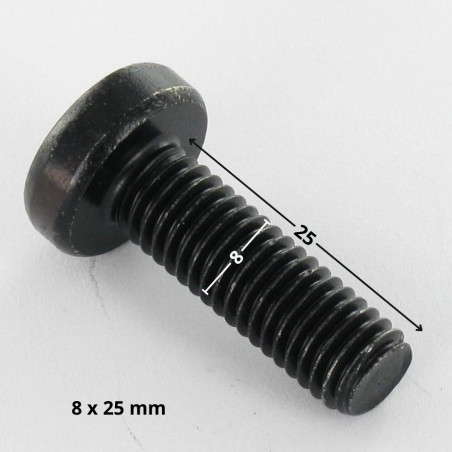 1 x Tornillo metales cabeza abovedada ancha TORX T40 M8X25 Acero cincado negro