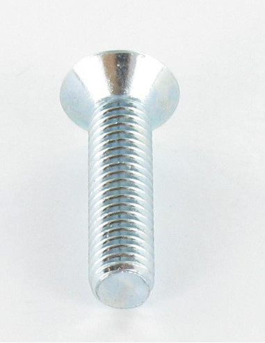 1 x Tornillo metales cabeza fresada/testa...