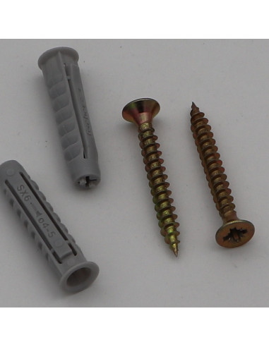1 x Bolsa de 2 Taco Fischer SX6 con 2 Tornillo