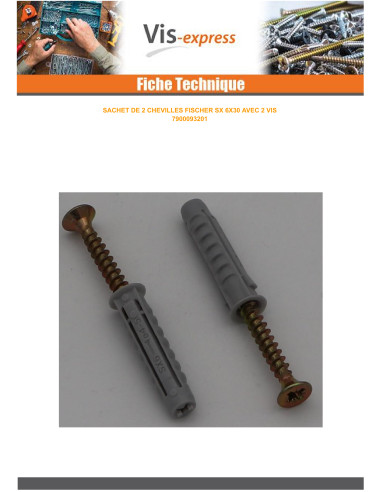1 x Bolsa de 2 Taco Fischer SX6 con 2 Tornillo