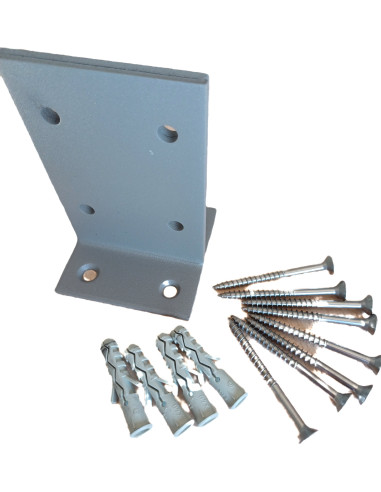 1 x EQUIPO placa PIERNA de FORTALEZA Gris