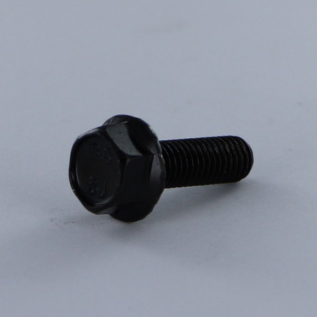 1 x Tornillo metales cabeza hexagonal M6X40 resalto reborde dentado Clase 8.8 Acero cincado negro
