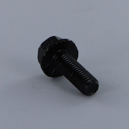 1 x Tornillo metales cabeza hexagonal M6X20 resalto reborde dentado Clase 8.8 Acero cincado negro