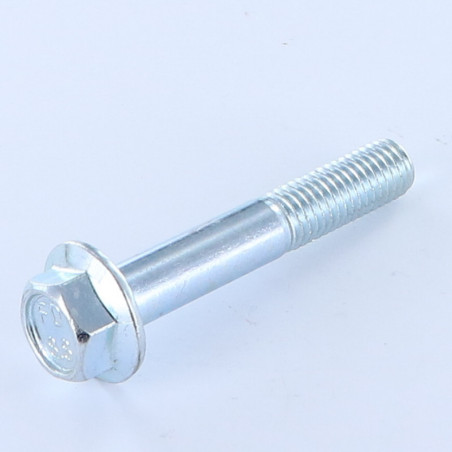 1 x Tornillo metales cabeza hexagonal M10X60 roscado parcial resalto reborde dentado Clase 8.8 Acero cincado blanco