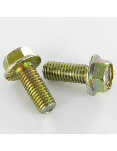 1 x Tornillo metales cabeza hexagonal M6X8...