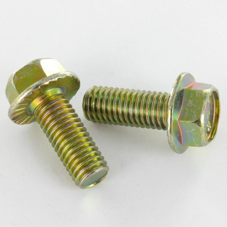 1 x Tornillo metales cabeza hexagonal M6X8 resalto reborde dentado Clase 8.8 Bicromato