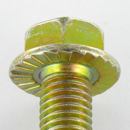 1 x Tornillo metales cabeza hexagonal M6X8 resalto reborde dentado Clase 8.8 Bicromato