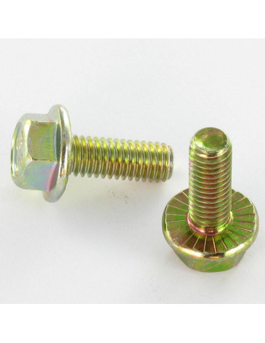 1 x Tornillo metales cabeza hexagonal M6X8...