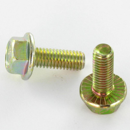 1 x Tornillo metales cabeza hexagonal M6X8 resalto reborde dentado Clase 8.8 Bicromato