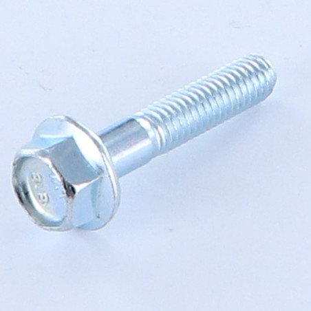 1 x Tornillo metales cabeza hexagonal M6X30 roscado en 18 roscado parcial resalto reborde dentado Clase 8.8 Acero cincado