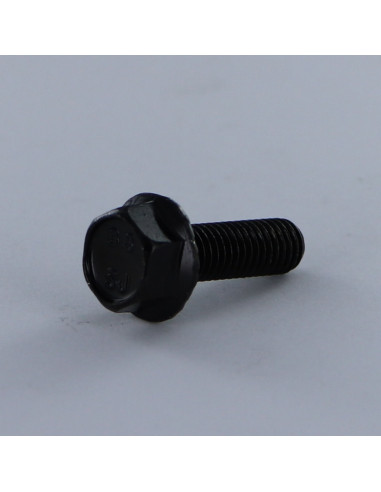 1 x Tornillo metales cabeza hexagonal M8X25...