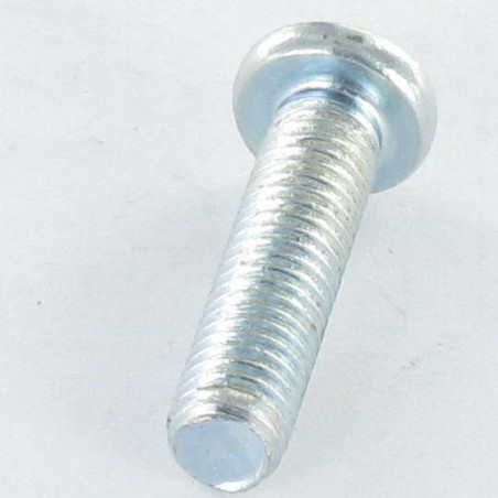 1 x Tornillo metales cabeza cilíndrica M5X20 cuadrado phillips QP2 Acero cincado blanco