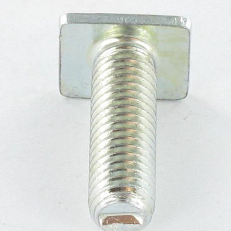 1 x Tornillo metales cabeza rectangular M6X20 9,5 x 12 x 2 Acero cincado blanco
