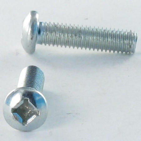 1 x Tornillo metales cabeza cilíndrica abombada M6X30 cuadrado phillips QP2 Acero cincado blanco