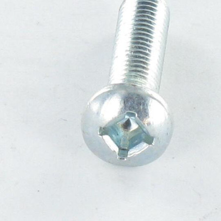 1 x Tornillo metales cabeza cilíndrica abombada M6X30 cuadrado phillips QP2 Acero cincado blanco
