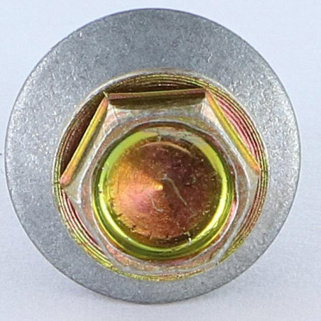 1 x Tornillo autoperforante cabeza hexagonal 4.8X19 Arandela de estanqueidad con junta de neopreno epdm Bicromato