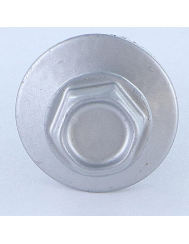 1 x Tornillo autoperforante cabeza hexagonal...