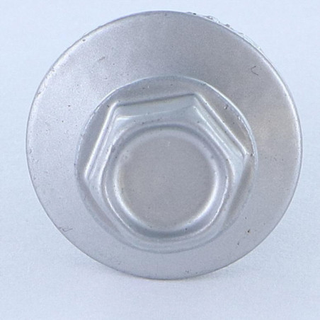 1 x Tornillo autoperforante cabeza hexagonal 5.5X25 Arandela de estanqueidad con junta de neopreno epdm Acero cincado