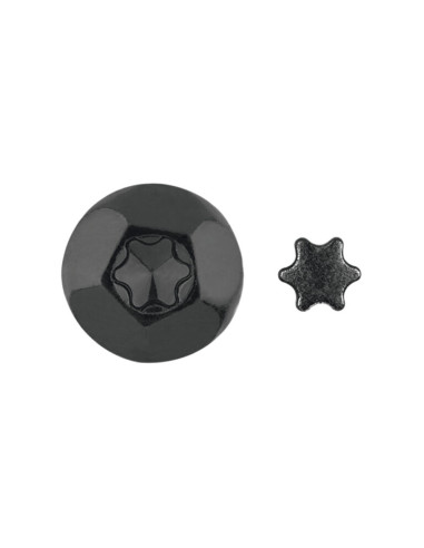 1 x ELEMENTO ANTIINTRUSIÓN TORX T40 Acero...