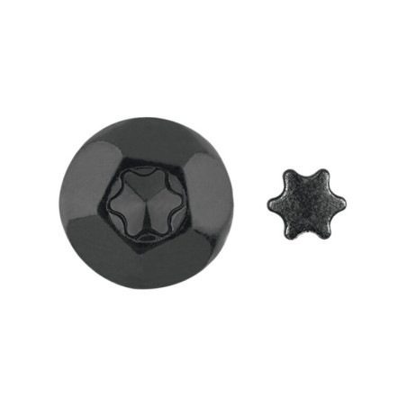 1 x ELEMENTO ANTIINTRUSIÓN TORX T40 Acero cincado negro