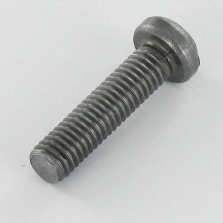 1 x Tornillo metales cabeza cilíndrica Pozi ranura M5X20 Acero bruto