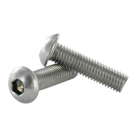 1 x Tornillo metales Inoxidable A2 Cabeza Abombada con Hueco hexagonal M6X20 roscado total llave de 4