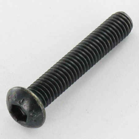 1 x Tornillo metales Inoxidable A2 Negro Cabeza Abombada con Hueco hexagonal M6X20 llave de 4 roscado total