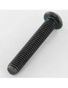 Tornillo metales Inoxidable A2 Negro Cabeza Abombada con... 2