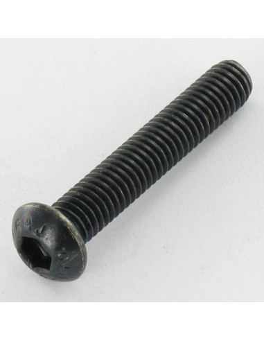 1 x Tornillo metales Inoxidable A2 Negro Cabeza...