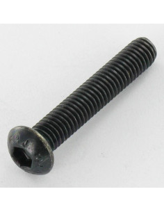 Tornillo metales Inoxidable A2 Negro Cabeza Abombada con...