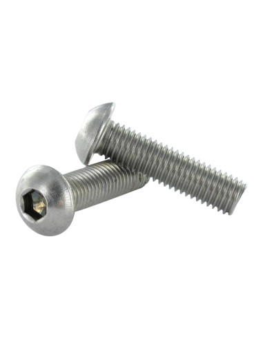 1 x Tornillo metales Inoxidable A2 Cabeza...