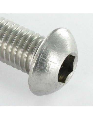 1 x Tornillo metales Inoxidable A2 Cabeza...