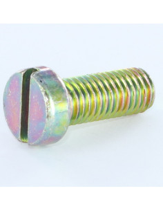 Tornillo metales cabeza cilíndrica ranura M6X10 Bicromato