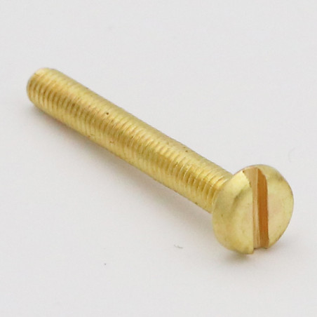 1 x Tornillo metales Latón cabeza cilíndrica ancha ranura M6X12