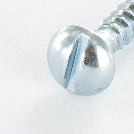 1 x Tornillo madera cabeza redonda ranura 2.5X20 Acero cincado blanco microtornillo