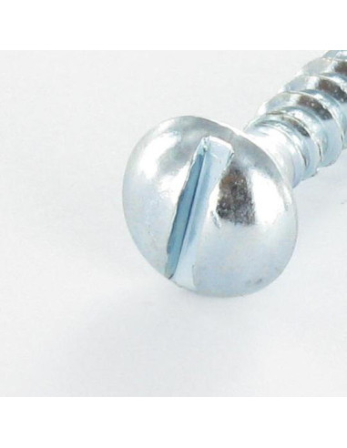 1 x Tornillo madera cabeza redonda ranura 3X40...