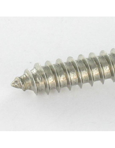 1 x Tornillo chapa Inoxidable A2 cabeza...