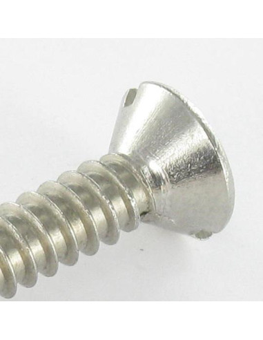 1 x Tornillo chapa Inoxidable A2 cabeza...