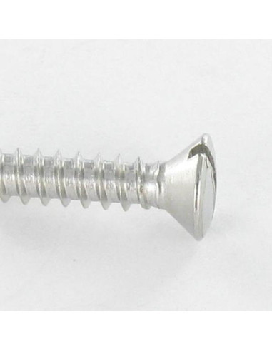1 x Tornillo chapa Inoxidable A2 cabeza fresada...