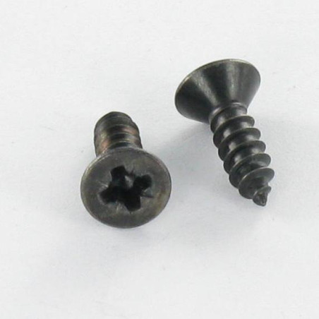 1 x Tornillo chapa Inoxidable A2 cabeza fresada/testa svasat Pozi 4.2X16 Negro