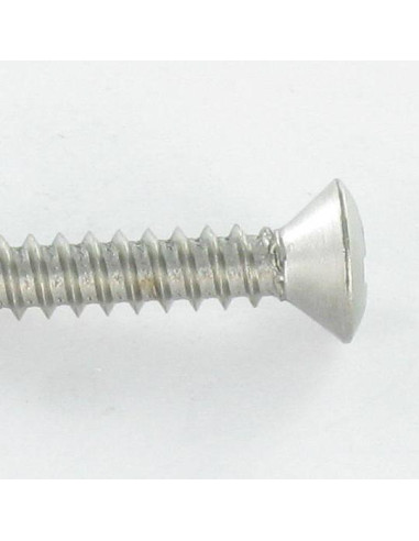 1 x Tornillo chapa Inoxidable A2 cabeza fresada...