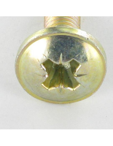 1 x Tornillo poelier cabeza redonda ancha Pozi...