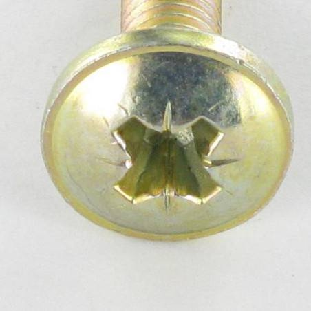 1 x Tornillo poelier cabeza redonda ancha Pozi M6X24 diámetro de cabeza: 14.5 Bicromato