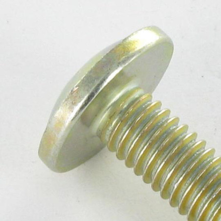 1 x Tornillo poelier cabeza redonda ancha Pozi M6X24 diámetro de cabeza: 14.5 Bicromato