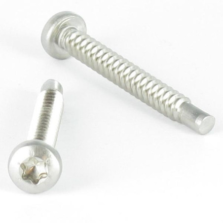 1 x Tornillo chapa cabeza abovedada ancha 4.2X35 Inoxidable A2 TORX T20 punta guía