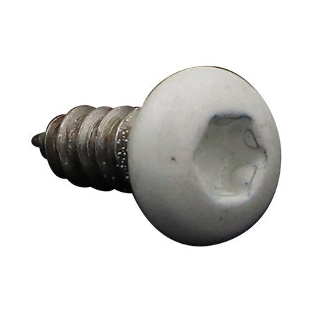 1 x Tornillo chapa cabeza abovedada ancha 4.2X13 Inoxidable A2 TORX T20 RAL9010 blanco puro