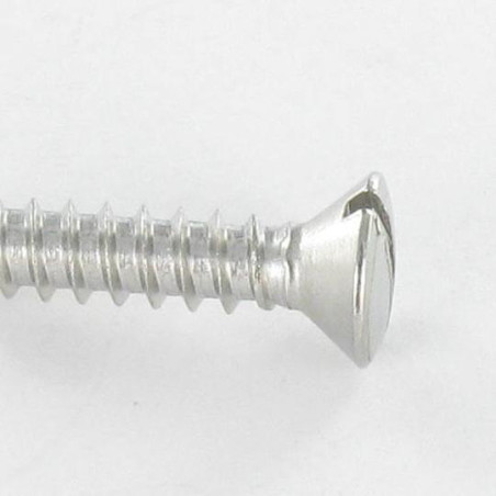 1 x Tornillo chapa Inoxidable A2 cabeza fresada abombada ranura 4.2X25
